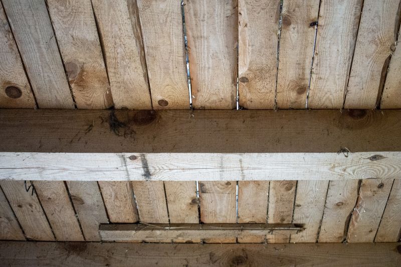 Licensed Deck Repair Specialists