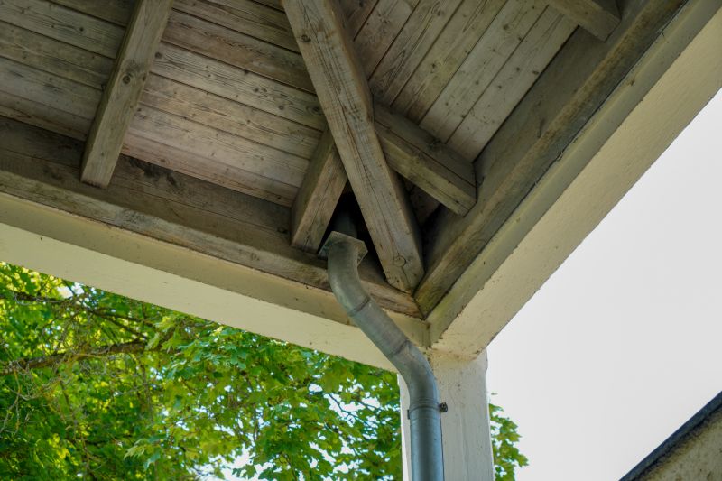 Deck Maintenance Companies